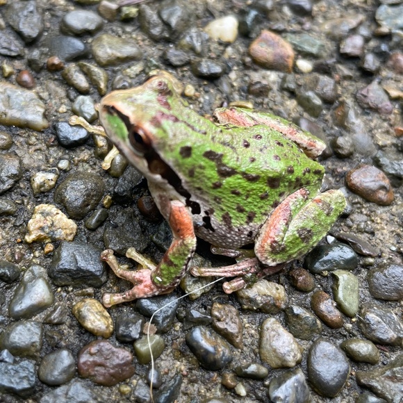 Meet your Posher - Picture 1 of 1